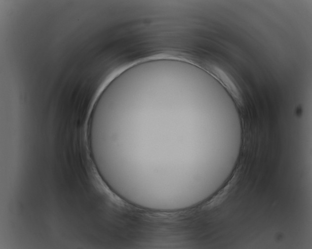 X0000096700900200802051058