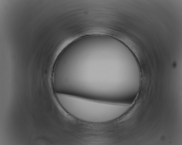 X0000096700901200802051058