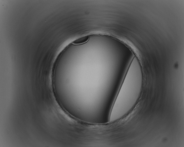 X0000096700902200802051058