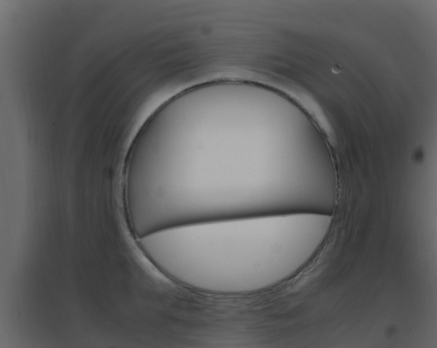 X0000096700903200802051058