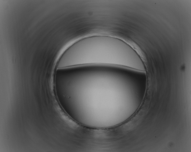 X0000096700904200802051058