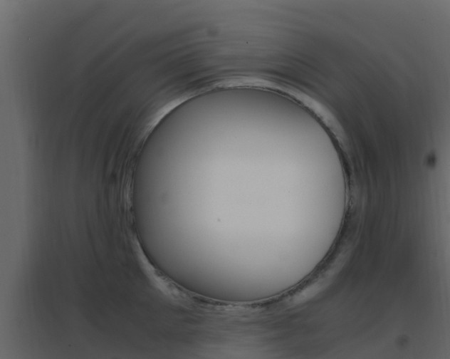 X0000096700905200802051058