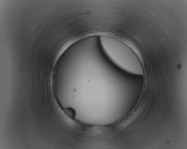 X0000096700906200802051058