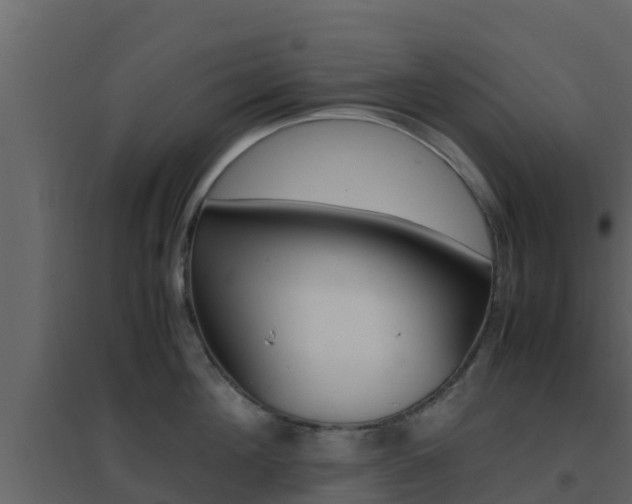 X0000096700908200802051058