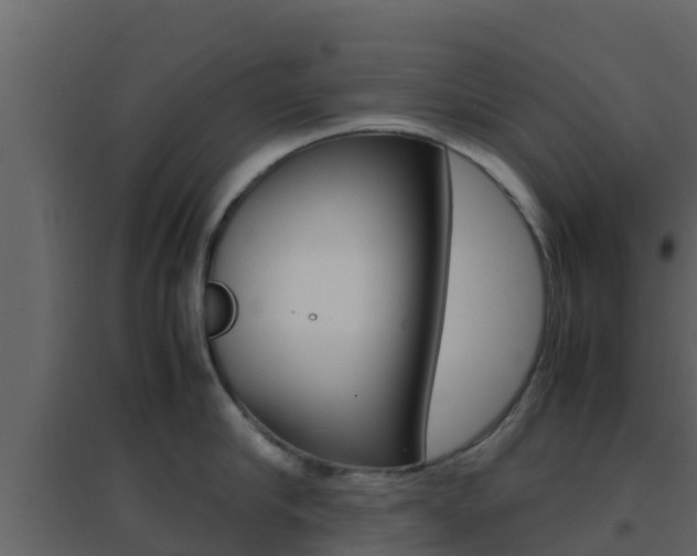 X0000096700910200802051058