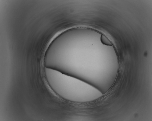 X0000096700911200802051058
