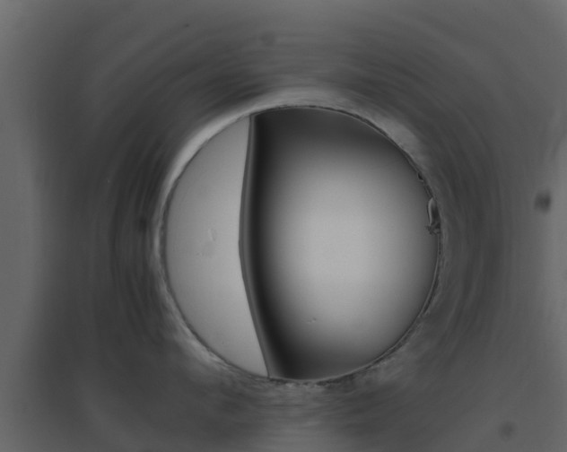 X0000096700912200802051058