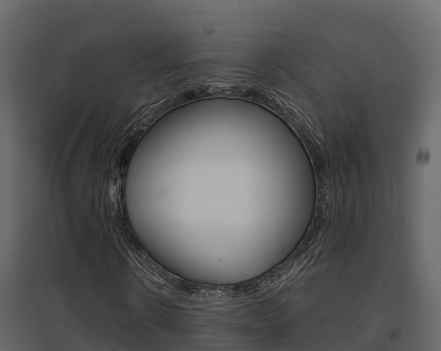 X0000096700914200802051057