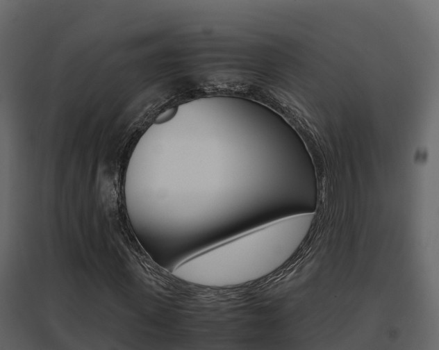 X0000096700915200802051057