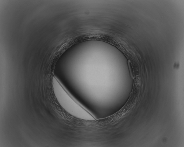 X0000096700916200802051057