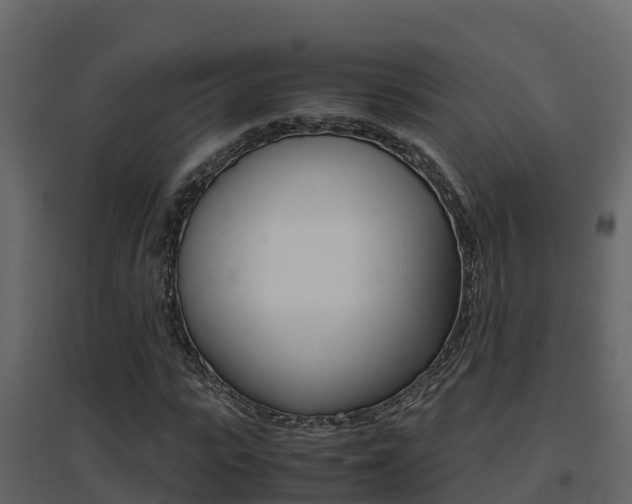 X0000096700919200802051057