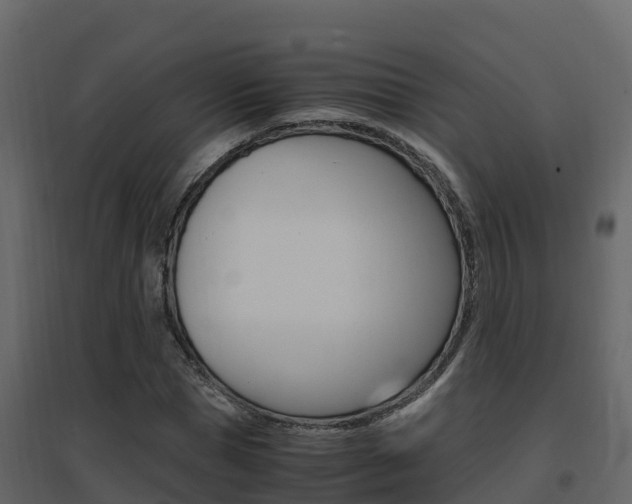 X0000096700921200802051057