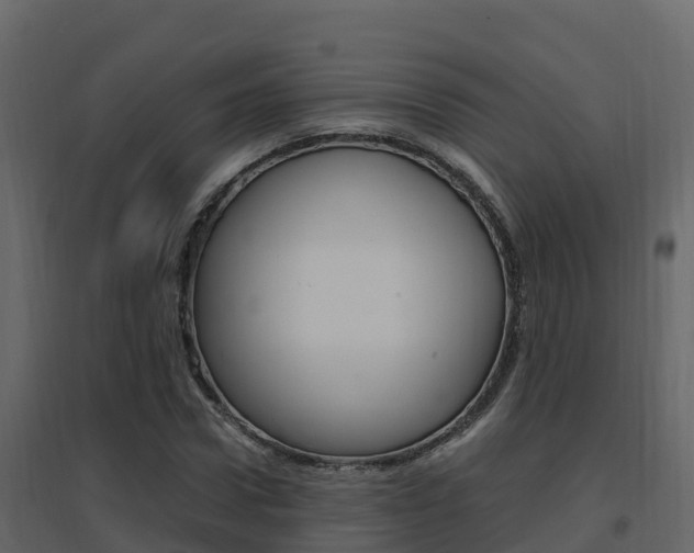 X0000096700922200802051057