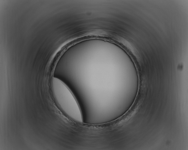 X0000096700923200802051057