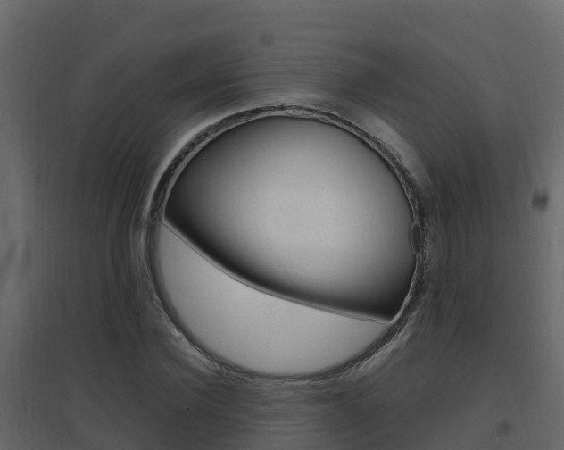 X0000096700924200802051057