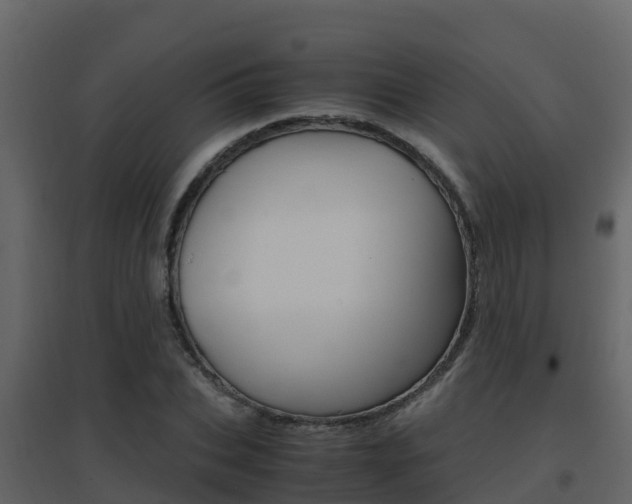 X0000096700927200802051057