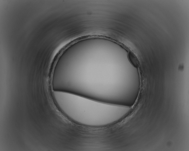 X0000096700928200802051057