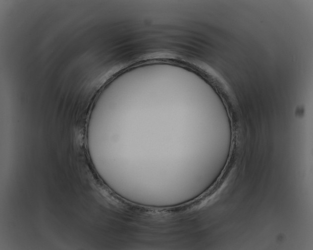 X0000096700929200802051058