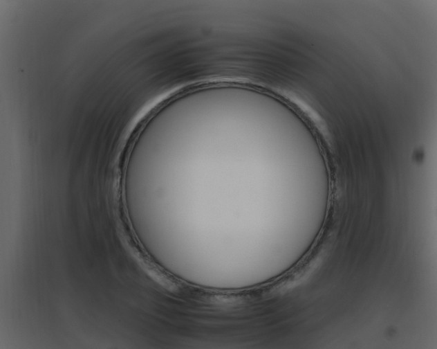 X0000096700933200802051058