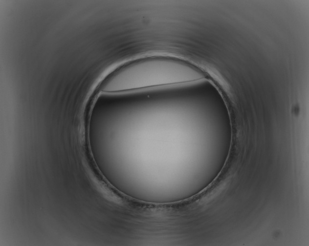 X0000096700934200802051058
