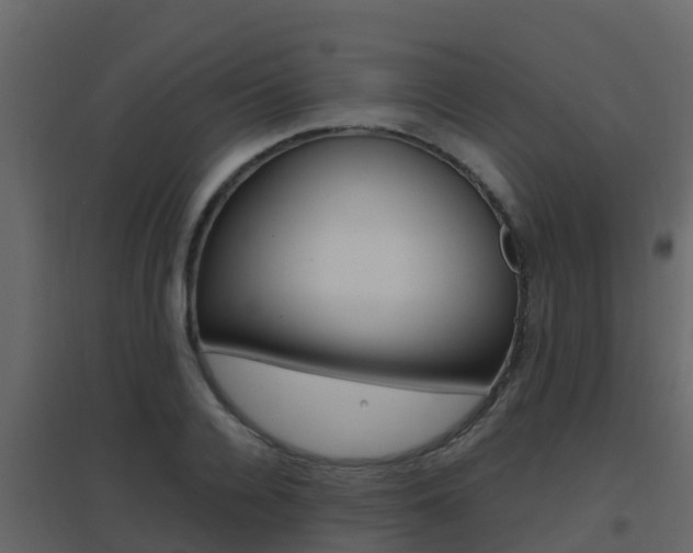 X0000096700936200802051058