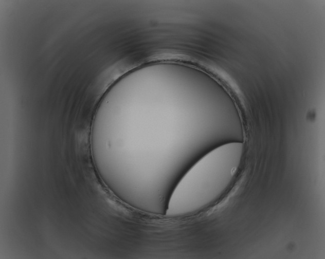 X0000096700937200802051058