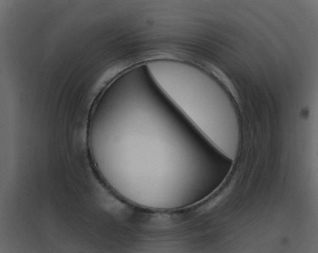 X0000096700938200802051058