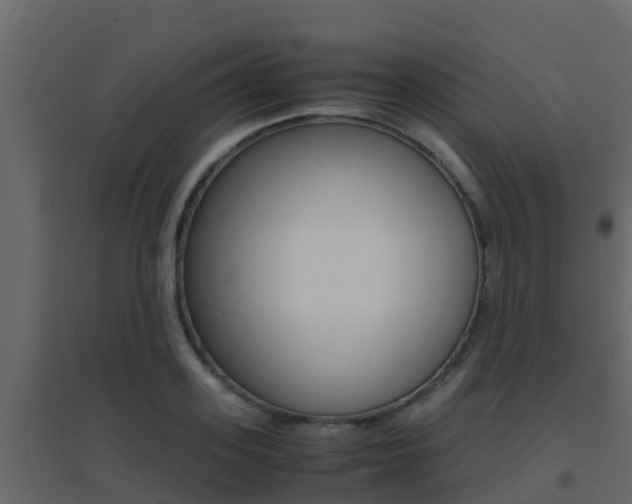 X0000096700939200802051058
