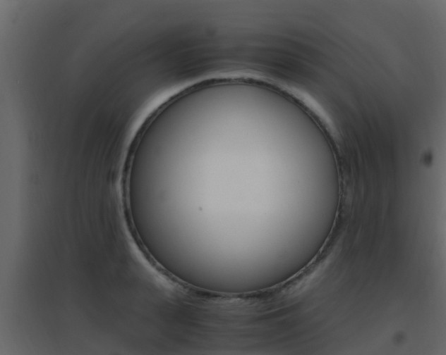 X0000096700943200802051058