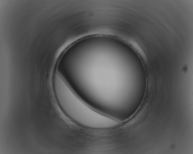 X0000096700944200802051058