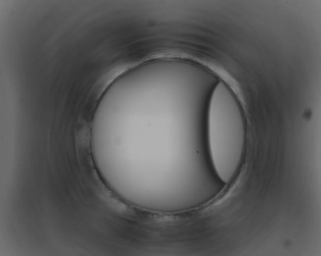 X0000096700945200802051058