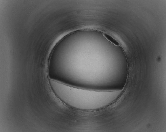 X0000096700948200802051058