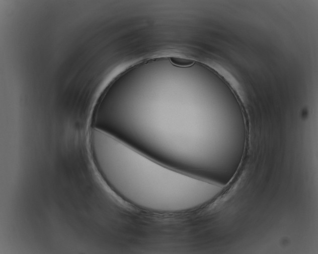 X0000096700949200802051058