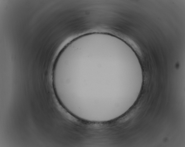 X0000096700950200802051058