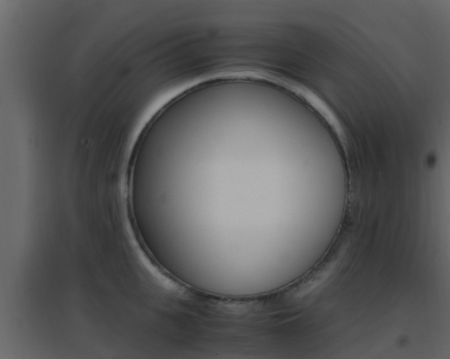 X0000096700951200802051058