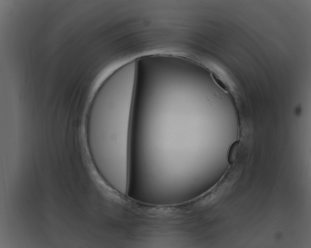 X0000096700952200802051058