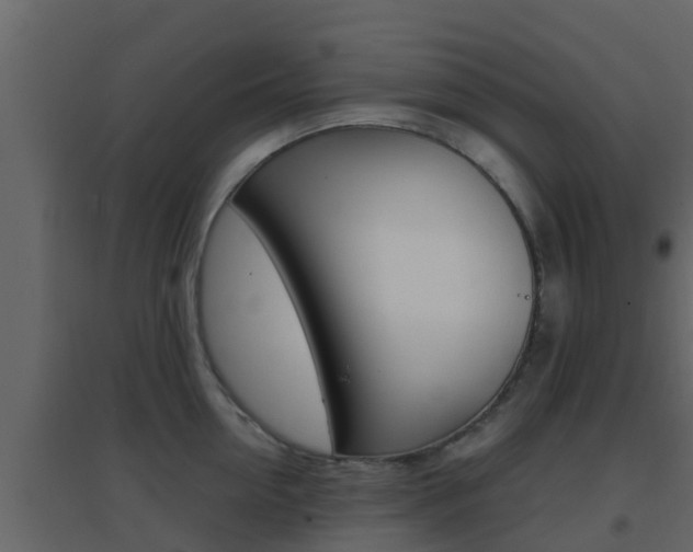 X0000096700954200802051058