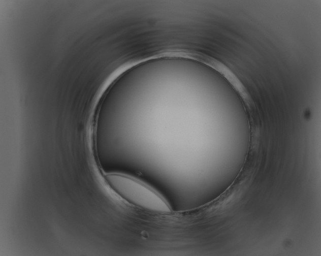 X0000096700955200802051058