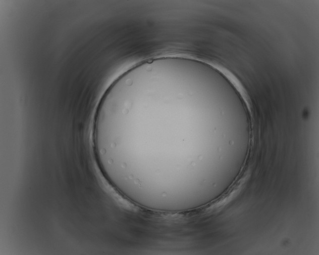 X0000096700957200802051058