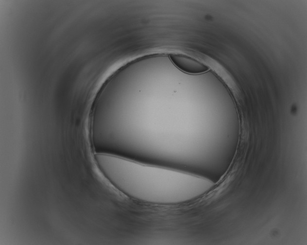 X0000096700958200802051058