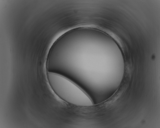 X0000096700959200802051058