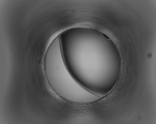 X0000096700960200802051058