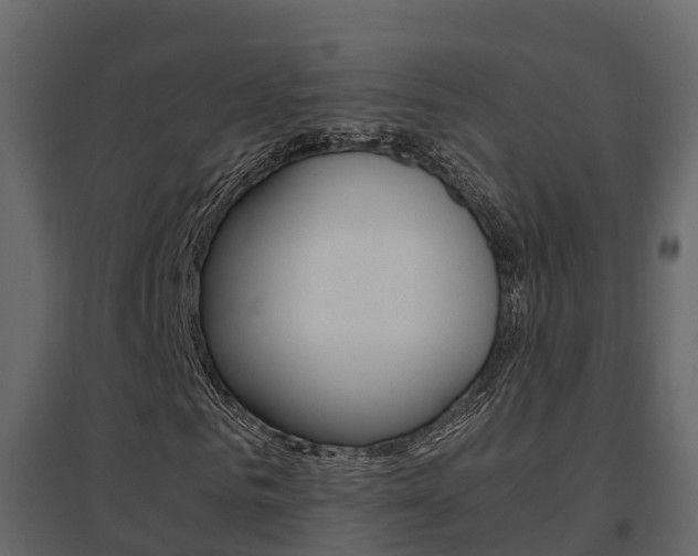 X0000096700961200802051057