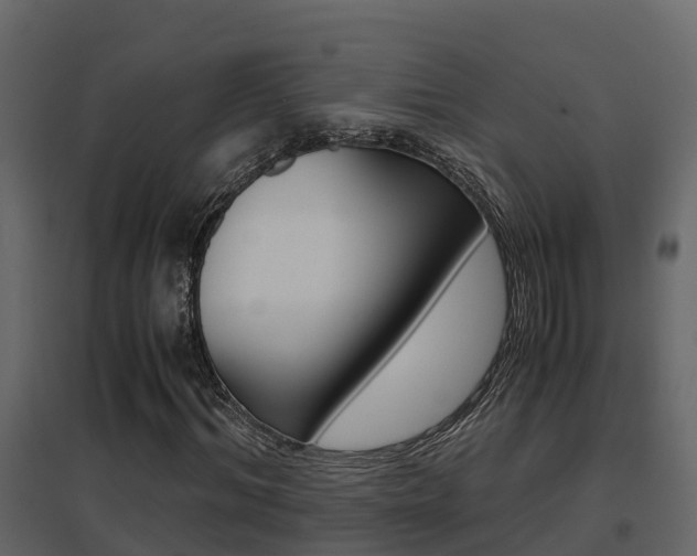 X0000096700964200802051057