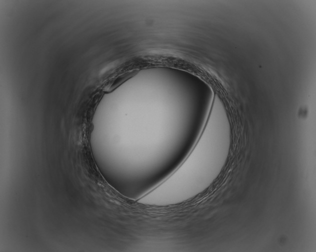 X0000096700965200802051057