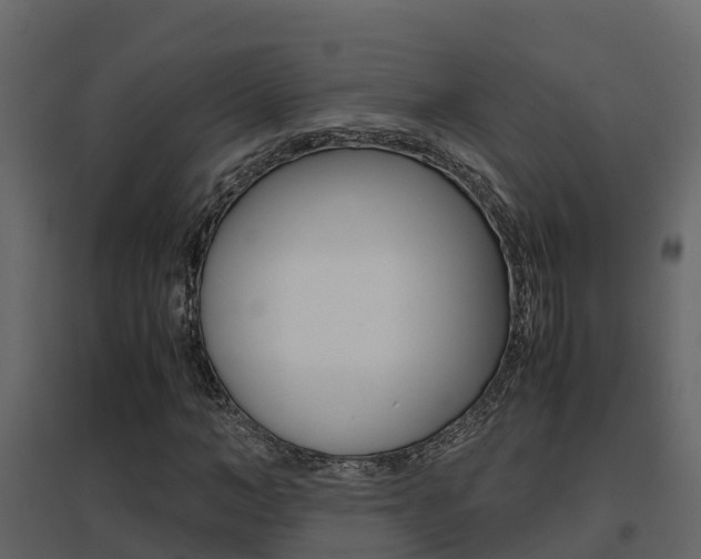 X0000096700966200802051057