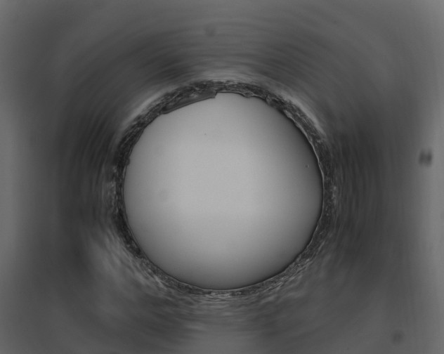 X0000096700968200802051057