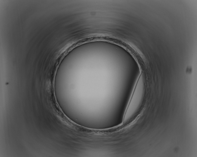 X0000096700969200802051057