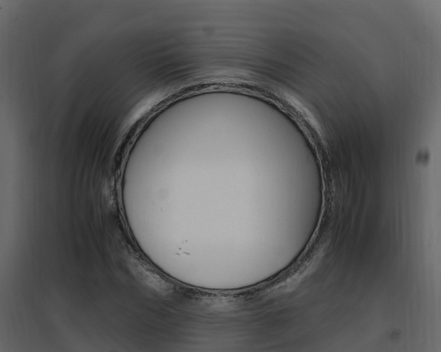 X0000096700970200802051057