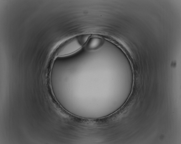 X0000096700971200802051057